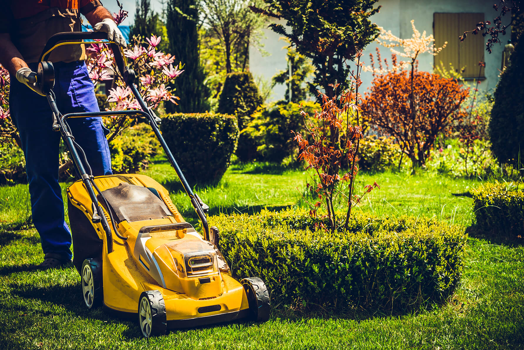 Garden Services